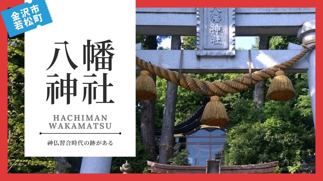 松村景文 枝垂桜双鳩図 - 日本の動物画‐いきもののかたち‐ 江戸